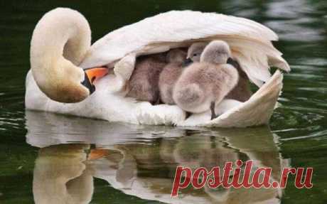 Мой Мир@Mail.Ru