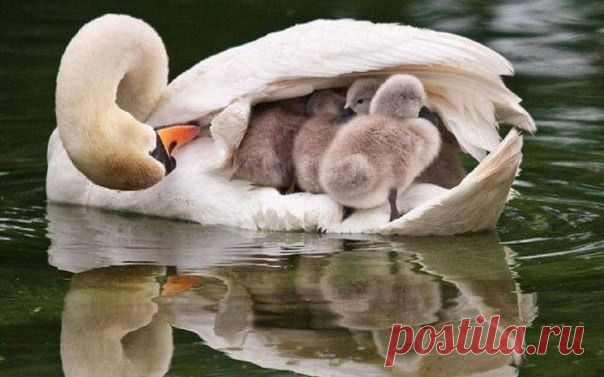 Мой Мир@Mail.Ru