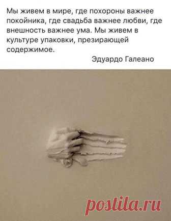 (6) Facebook