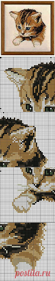 Котёнок / Вышивка / Схемы вышивки крестом