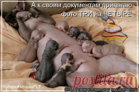 Валюша: Не предлагайте Дружбу --Мимоходом, -Порою даже не Сказав; "Привет" Не собиратель Я кол-ва Народа.. Друзей по Тысячи, поверьте Нет !!..