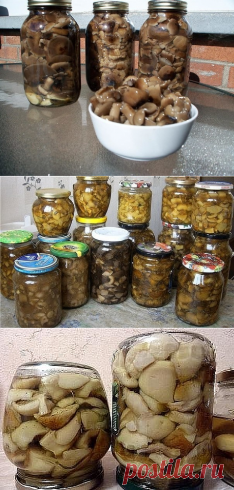 10 заготовок из ГРИБОВ на зиму