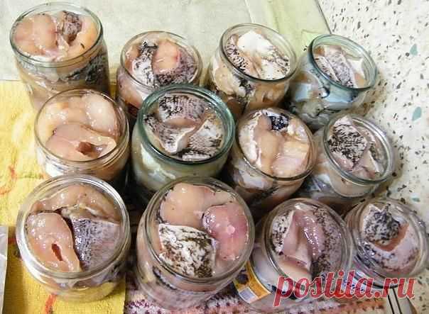 шеф-повар Одноклассники: 9 уникальных рецептов консервирования рыбы