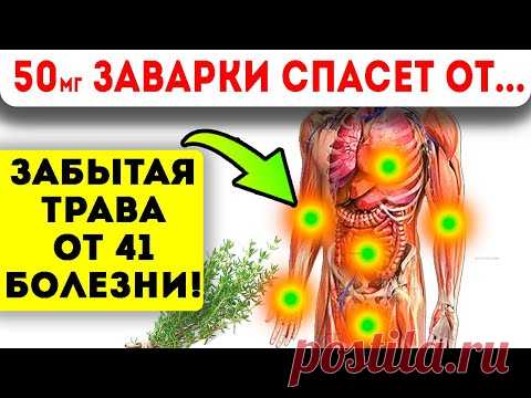 ТРАВА ВМЕСТО ЛЕКАРСТВ! Суставы, глисты, желудок, поджелудочная, радикулит, остеохондроз и даже...
