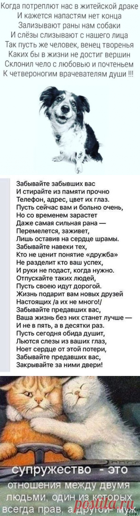 391 · Pinterest — Яндекс.Почта