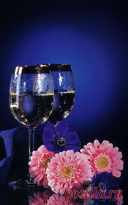 винный погребок