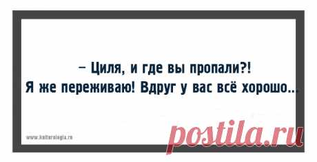 Одесская хохма – это не просто шутка, а кладезь мудрости