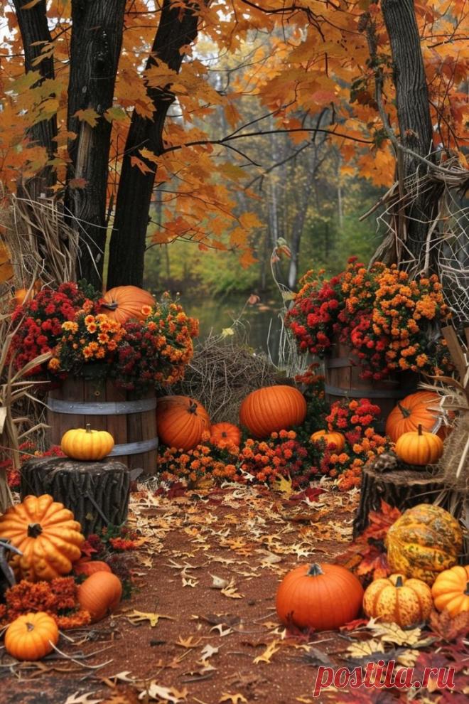 Изображение пина-истории