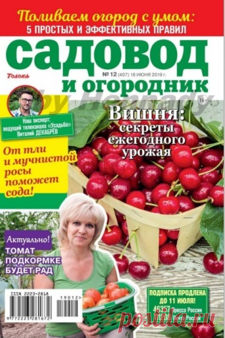 скачать