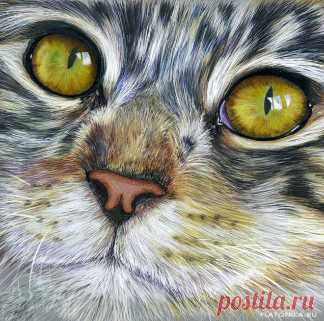 Подборка красивых рисунков с котами | FLATONIKA