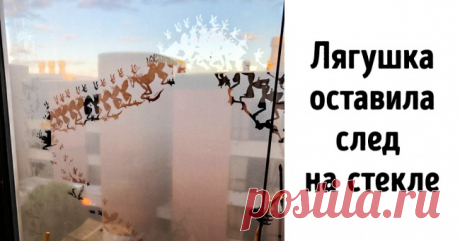 16 фото от пользователей, которые умеют выхватить смартфон так же ловко, как ковбои — пистолет . Милая Я