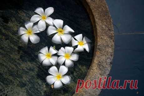 Фотосекреты: как фотографировать привычные объекты