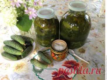 Малосольные огурчики на зиму «К Новогоднему столу» — Домашняя кулинария