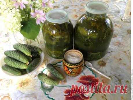 Малосольные огурчики на зиму «К Новогоднему столу» — Домашняя кулинария