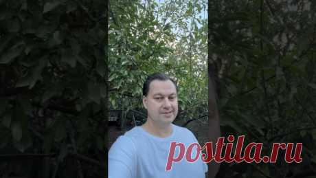 Физические Руны и их помощь которую мы даем #shorts
https://youtube.com/shorts/MfI6X-5yDEw?feature=share
Распространяйте репостами
#руны #рунныеставы #руническиеформулы #shortvideos
