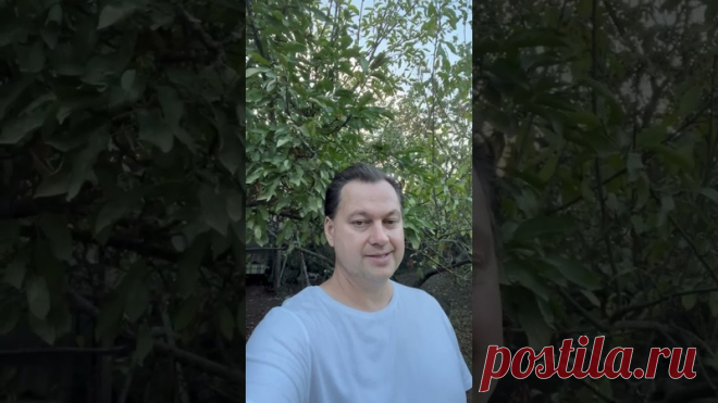 Физические Руны и их помощь которую мы даем #shorts
https://youtube.com/shorts/MfI6X-5yDEw?feature=share
Распространяйте репостами
#руны #рунныеставы #руническиеформулы #shortvideos