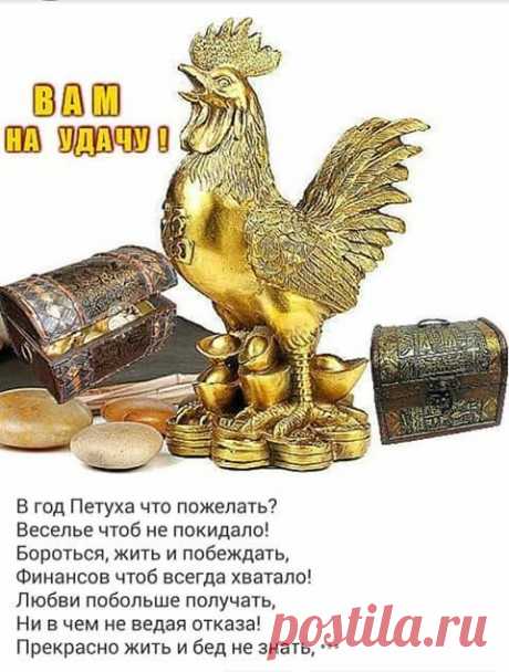 (90) Одноклассники
