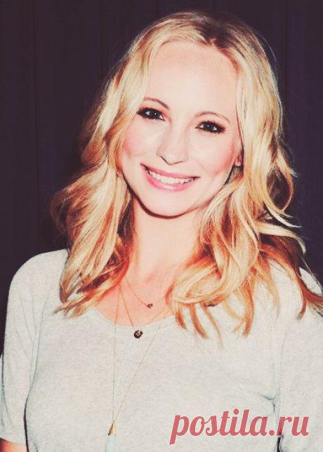 Кэндис Аккола