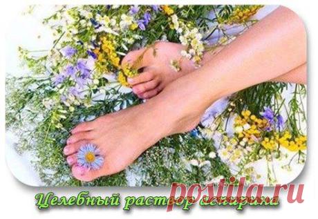 Одноклассники