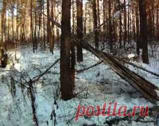 НОЧЕВКА В ЛЕСУ БЕЗ ПАЛАТКИ ПРИ -30 МОРОЗА