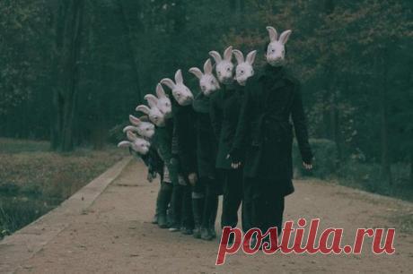 Интересные новости