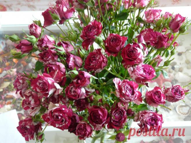 РОЗЫ БУКЕТ ШИКАРНЫЙ: 28 тыс изображений найдено в Яндекс.Картинках