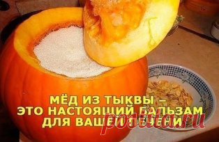 Мёд из тыквы буквально стирает старость
 
КАКАЯ ПОЛЬЗА ОТ МЁДА