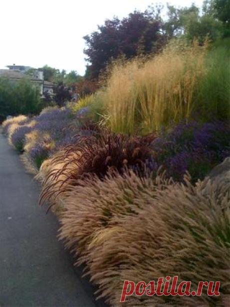 Roger &amp; Mary's garden in California | Fine Gardening