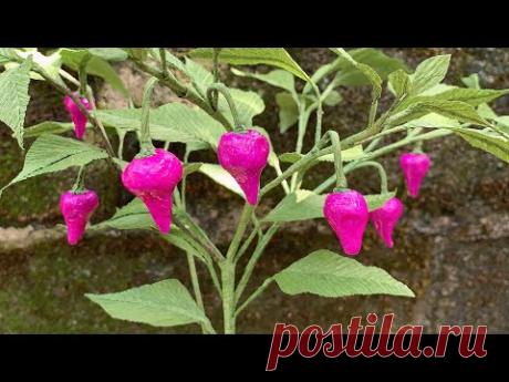 ABC TV | How To Make UFO Chilli Pepper Plant Paper - Craft Tutorial