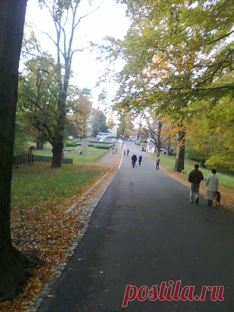 Дорога в замок .