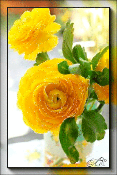 анимации красивые желтые розы - Поиск в Google