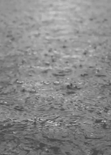 rain gif | Tumblr