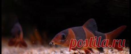 Мирный - Part 2