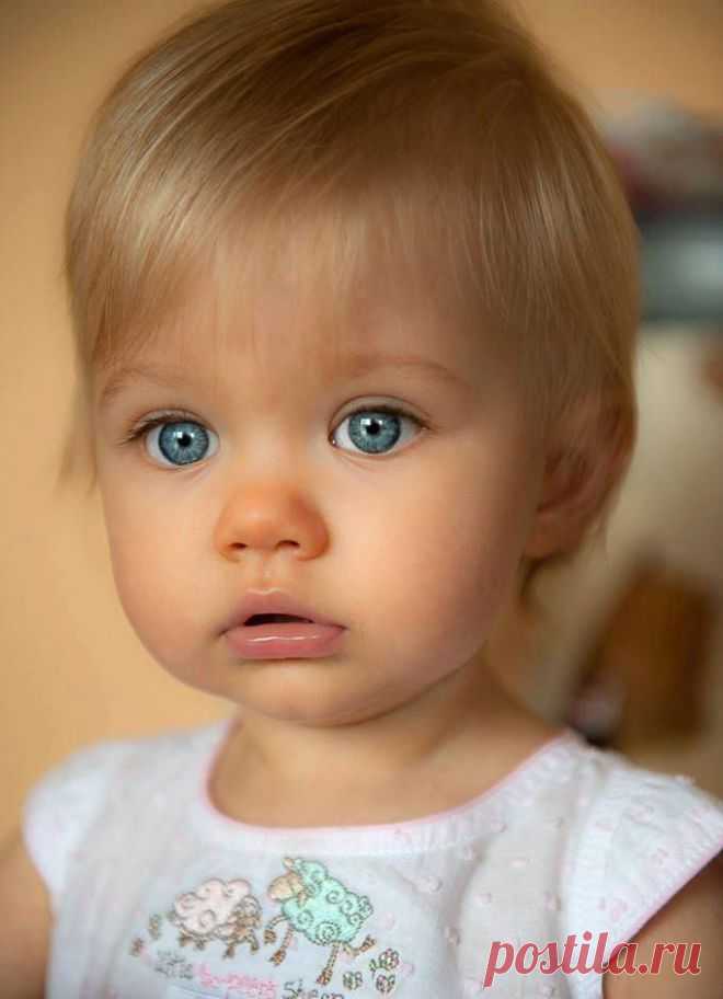 15+ Деток С Глазками Как У Кота В Сапогах, Из “Шрека”. | Лучшие истории со всего мира