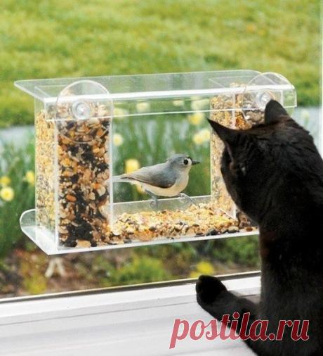 Кормушка для птиц, которую можно прикрепить к окну и любоваться птичками