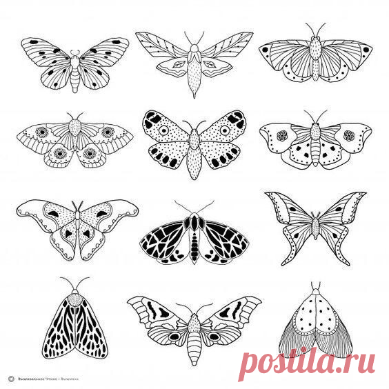🦋🌶 Эскизы для вышивки: бабочки и жучки
