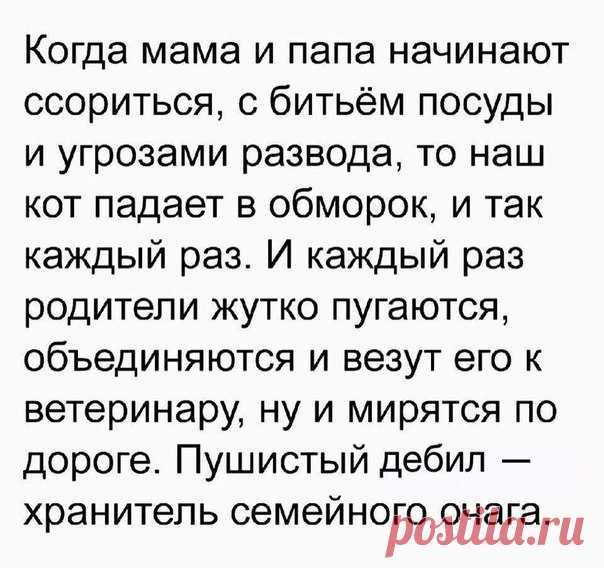 Елена Имаева