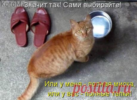 Выбирайте!!!