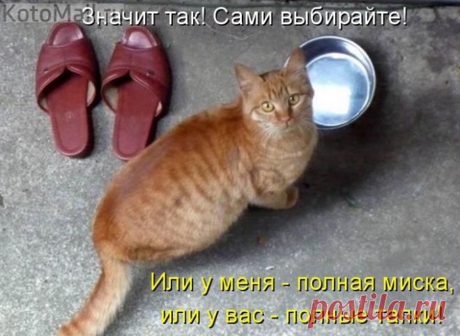 Выбирайте!!!