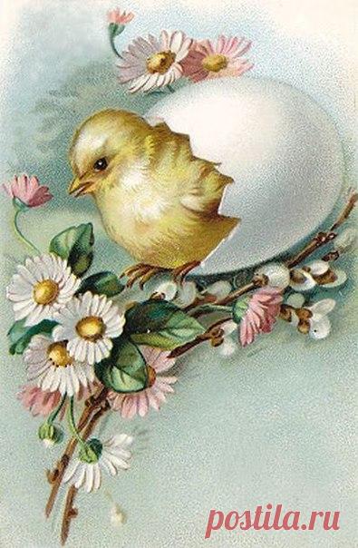 Весна. Пасха. Пасхальные ретро открытки.
Декупаж коллаж. Decoupage collage.
#дизайн #для_декупажа #картинки_для_творчества #декупаж #декор