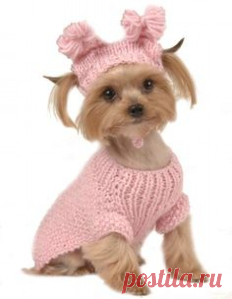 MAX'S CLOSET PET DOG CLOTHING PINK CABLE SWEATER w/ HAT SMALL DOG NEW XS-L