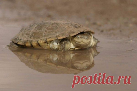 Интересные новости