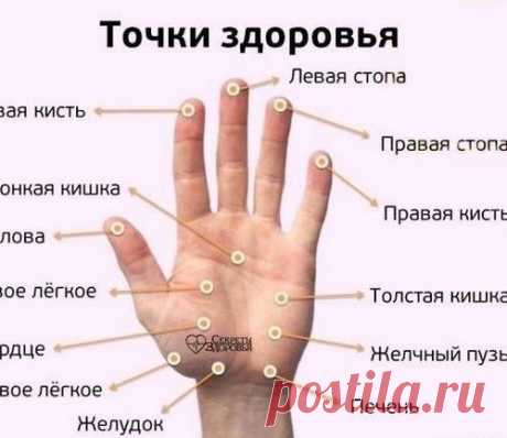 ТОЧКИ ЗДОРОВЬЯ НА ЛАДОНЯХ