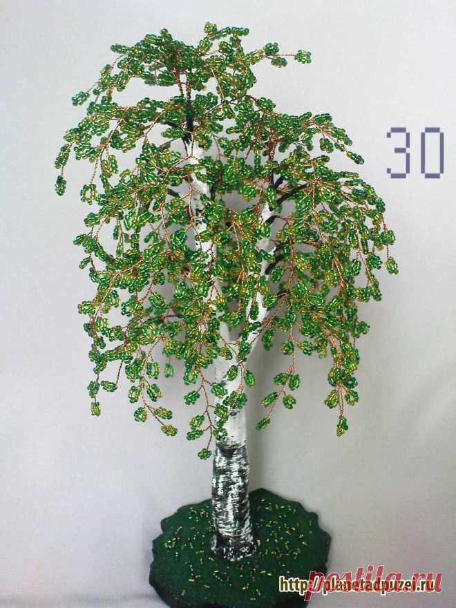 Берёзка - 2