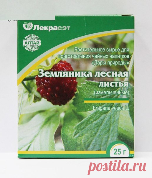 6 ЛЕЧЕБНЫХ НАПИТКОВ ДЛЯ ЖЕНЩИН.