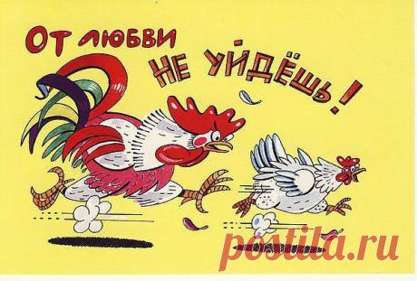 Бежит курица, за ней петух. Курица думает: "Если остановлюсь, то подумает ДОСТУПНАЯ, если убегу дурой буду!" Ладно, побегу и споткнусь!