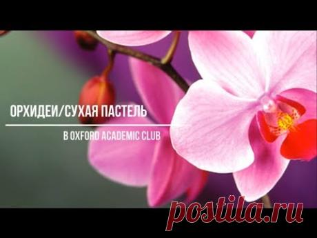 Орхидеи.Сухая пастель.(в Oxford Academic Club)