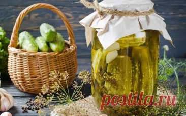 Заготовка из огурцов — лучший рецепт от бабушки — Дачный участок