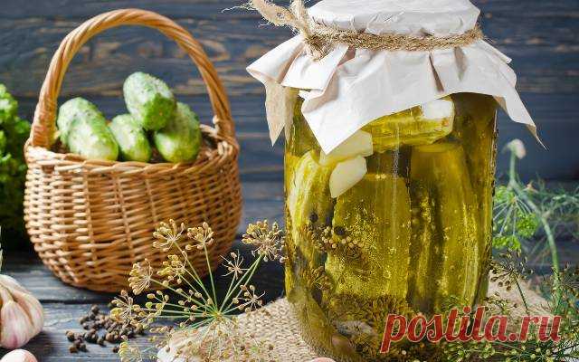 Заготовка из огурцов — лучший рецепт от бабушки — Дачный участок