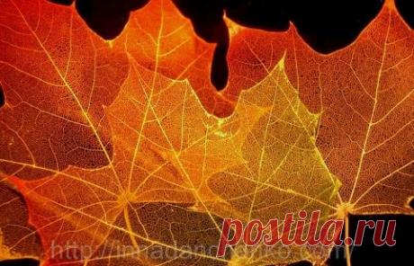 Блог сайта «Сундук сокровищ»